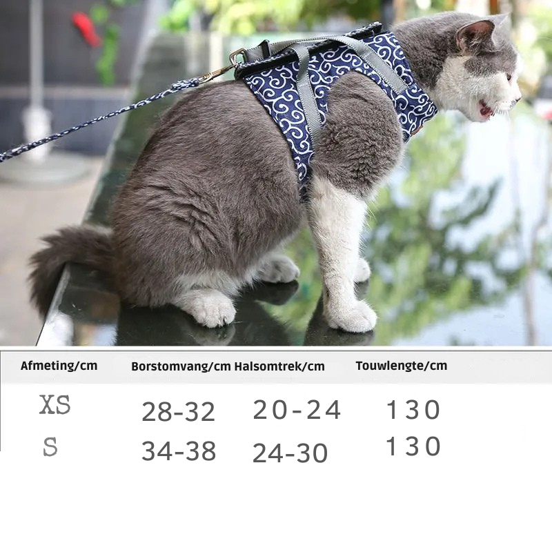 KatVrij – Veilig samen op avontuur