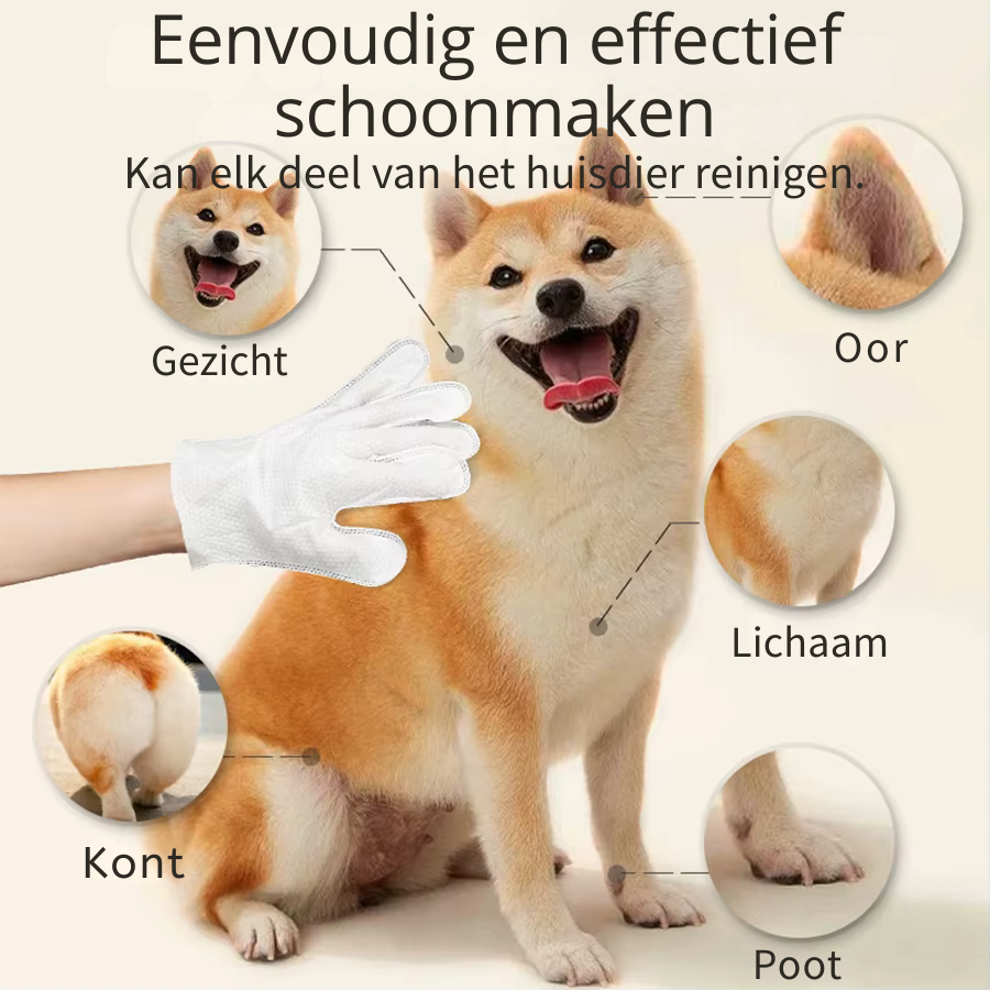 Aaibaar - Ruikt jouw hond niet meer fris? Dit lost het in 10 minuten op.