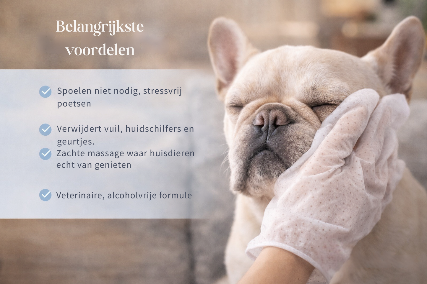 Aaibaar - Ruikt jouw hond niet meer fris? Dit lost het in 10 minuten op.