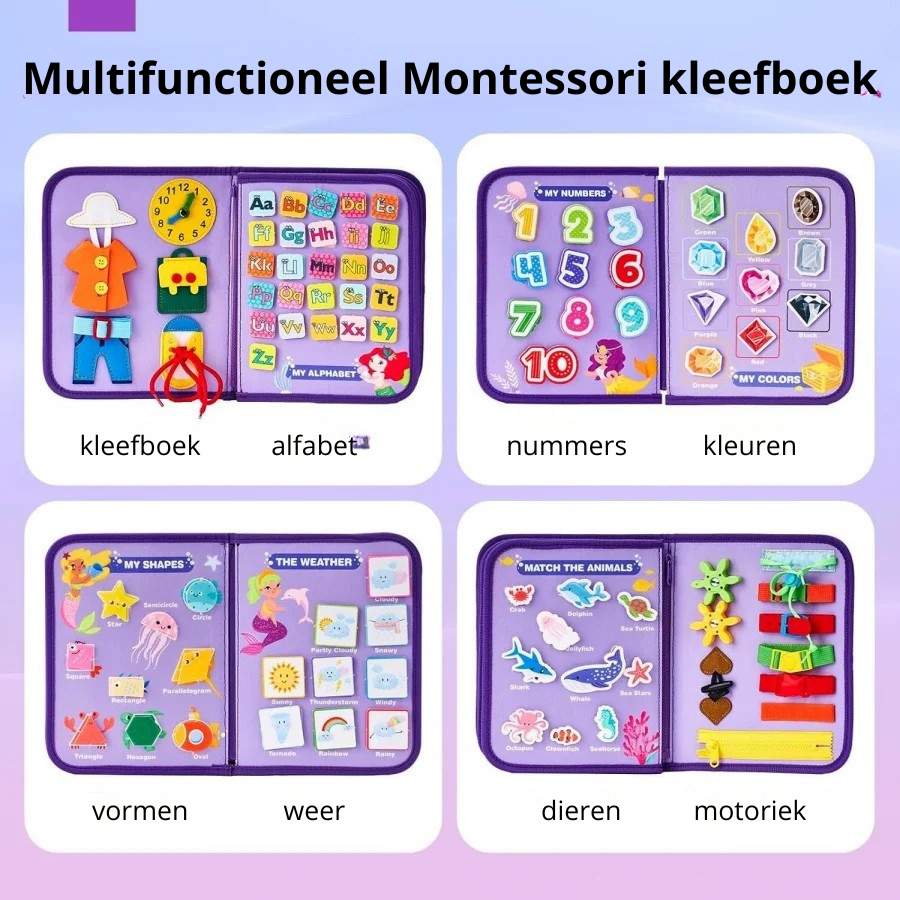 "MiniMeester™ – De eerste stap naar grootse vaardigheden."