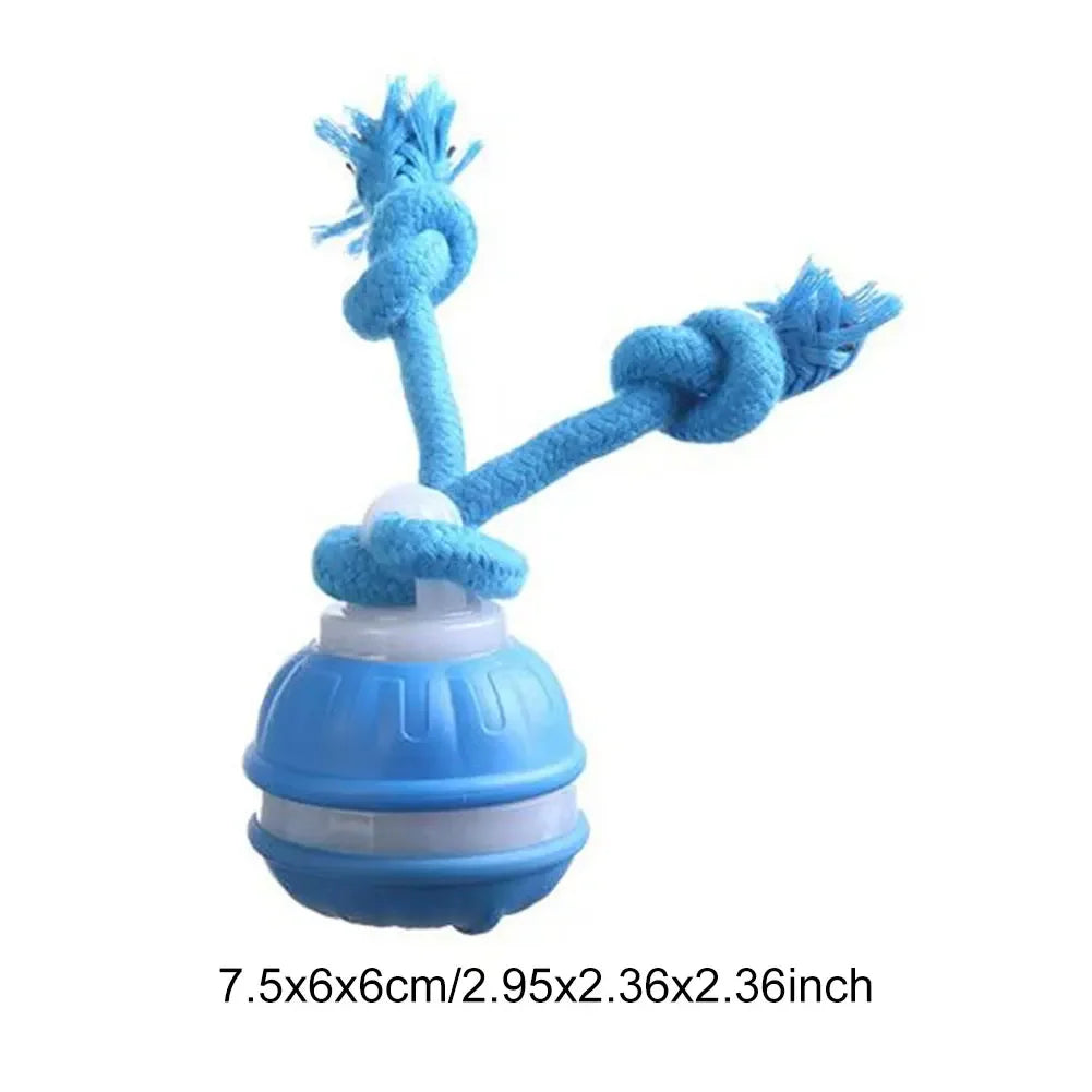 SpeelZeker™ - Veilig spelen. Rustig werken.