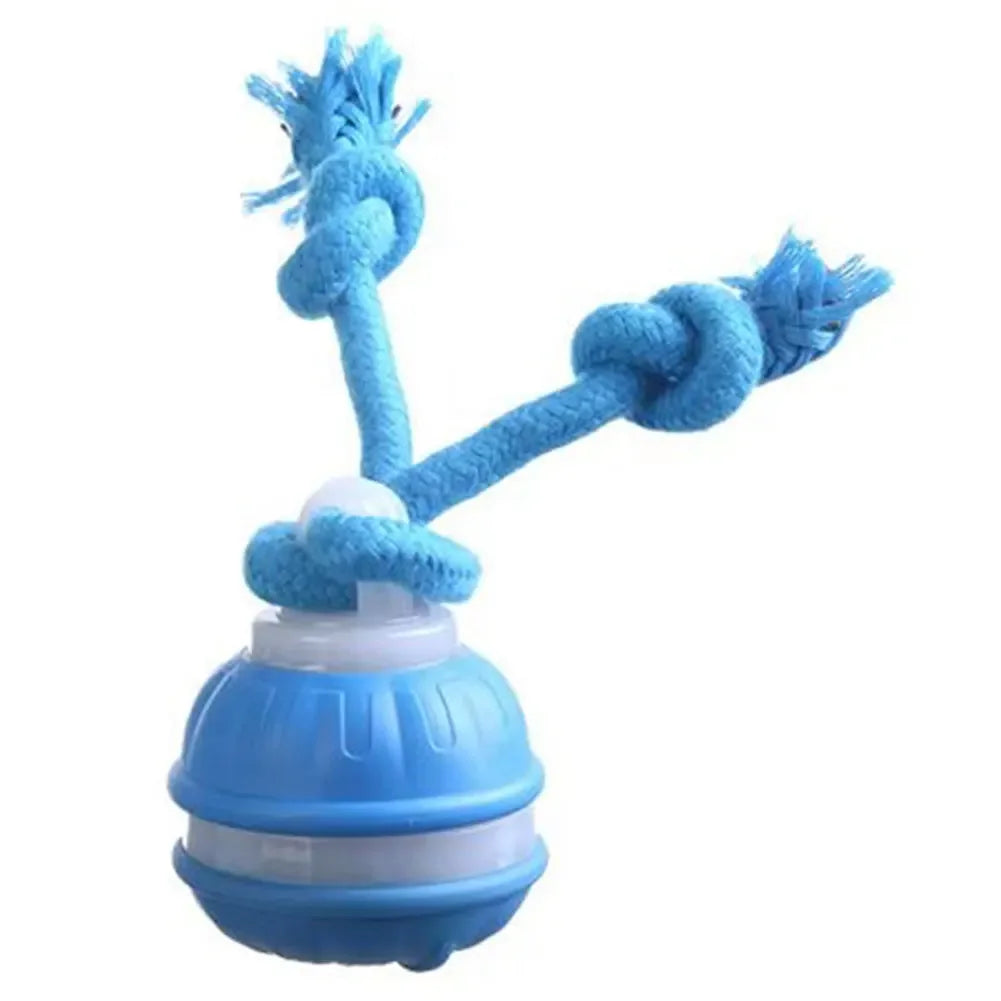 SpeelZeker™ - Veilig spelen. Rustig werken.