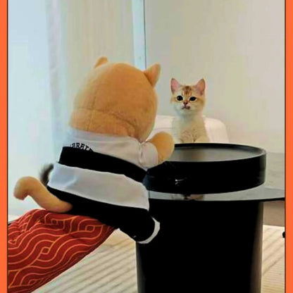 KrabVrij – Nooit meer krassen tijdens het spelen met je kat.