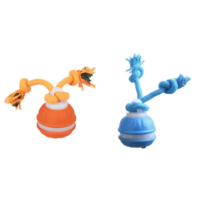 SpeelZeker™ - Veilig spelen. Rustig werken.