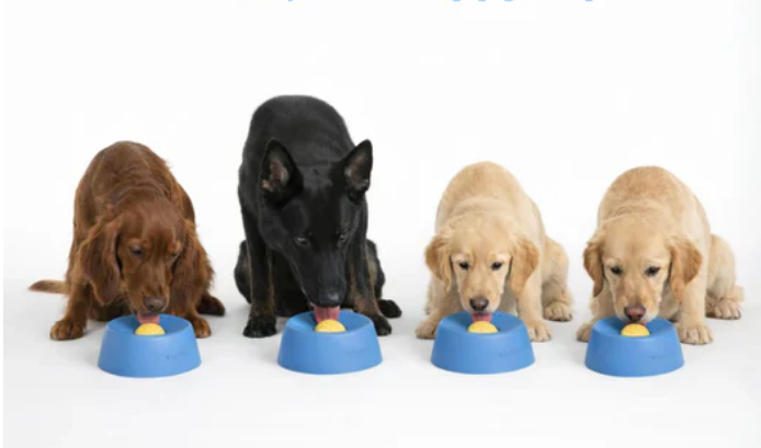 SnackZen – Rustig likken. Blije hond.