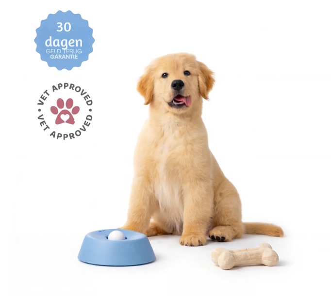 SnackZen – Rustig likken. Blije hond.